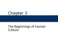 The Beginnings of Human Culture PowerPoint PPT Presentation