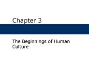 The Beginnings of Human Culture