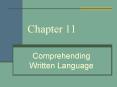 Comprehending Written Language PowerPoint PPT Presentation