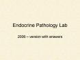 Endocrine Pathology Lab PowerPoint PPT Presentation