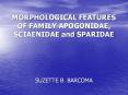 MORPHOLOGICAL FEATURES OF FAMILY APOGONIDAE, SCIAENIDAE and SPARIDAE PowerPoint PPT Presentation