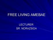 FREE LIVING AMEBAE