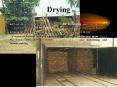Drying PowerPoint PPT Presentation