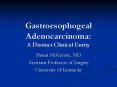 Gastroesophogeal Adenocarcinoma: A Distinct Clinical Entity PowerPoint PPT Presentation
