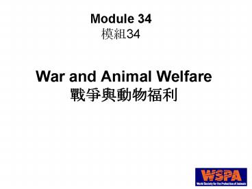 War and Animal Welfare ???????