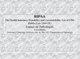 HIPAA The Health Insurance Portability and Accountability Act of 1996 (Public Law 104-191) Impact on Pathologist Trina Shanks University Pathology Services, Inc. PowerPoint PPT Presentation
