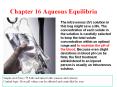 Chapter 16 Aqueous Equilibria PowerPoint PPT Presentation
