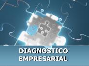 DIAGNOSTICO EMPRESARIAL