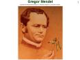 Gregor Mendel PowerPoint PPT Presentation