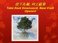 Take Root Downward, Bear Fruit Upward PowerPoint PPT Presentation