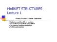 MARKET STRUCTURES- Lecture 1 PowerPoint PPT Presentation