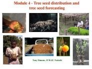 Module 4 - Tree seed distribution and