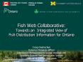 Fish Web Collaborative: Towards an Integrated View of Fish Distribution Information for Ontario PowerPoint PPT Presentation