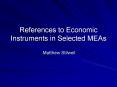 References to Economic Instruments in Selected MEAs PowerPoint PPT Presentation