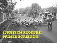 SUBSISTEM PRODUKSI PRIMER AGRIBISNIS