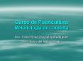 Curso de Puericultura Metodolog PowerPoint PPT Presentation