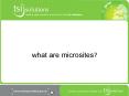 what are microsites? PowerPoint PPT Presentation