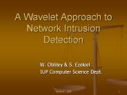A Wavelet Approach to Network Intrusion Detection