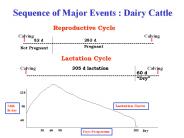 Sequence of Major Events : Dairy Cattle