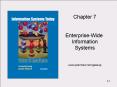 Enterprise-Wide PowerPoint PPT Presentation