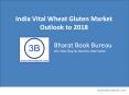 India Vital Wheat Gluten Market Outlook to 2018 - Extruded Snacks Market to Foster the Future Growth PowerPoint PPT Presentation