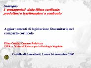 Diapositiva 1