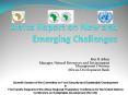 Africa Report on New and Emerging Challenges PowerPoint PPT Presentation