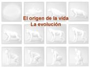 El origen de la vida La evoluci