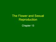 The%20Flower%20and%20Sexual%20Reproduction