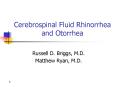 Cerebrospinal Fluid Rhinorrhea and Otorrhea PowerPoint PPT Presentation