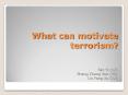 What can motivate terrorism? PowerPoint PPT Presentation