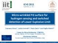 Micro-wrinkled Pd surface for hydrogen sensing and switched detection of Lower Explosive Limit PowerPoint PPT Presentation
