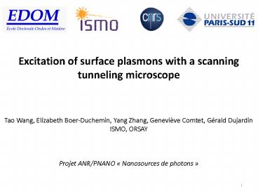 Excitation of surface plasmons with a scanning tunneling microscope