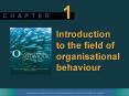 Introduction to the field of organisational behaviour PowerPoint PPT Presentation