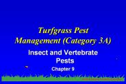 Turfgrass Pest Management (Category 3A)