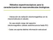 Diapositiva 1