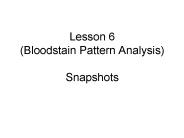 Lesson 6 (Bloodstain Pattern Analysis) Snapshots
