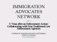 IMMIGRATION ADVOCATES NETWORK PowerPoint PPT Presentation