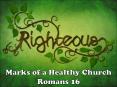 Marks of a Healthy Church PowerPoint PPT Presentation