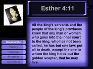 Esther 4:11