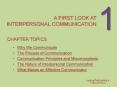 A first look at interpersonal communication PowerPoint PPT Presentation