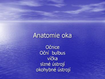 Anatomie oka