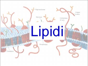 Nessun titolo diapositiva