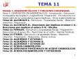 TEMA 11 PowerPoint PPT Presentation