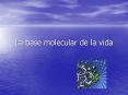 La base molecular de la vida PowerPoint PPT Presentation