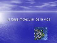 La base molecular de la vida