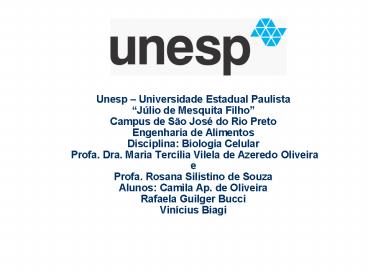 Unesp 