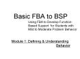 Basic FBA to BSP PowerPoint PPT Presentation