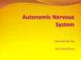 Autonomic Nervous System PowerPoint PPT Presentation