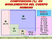 COMPOSICION (%) EN BIOELEMENTOS DEL CUERPO HUMANO